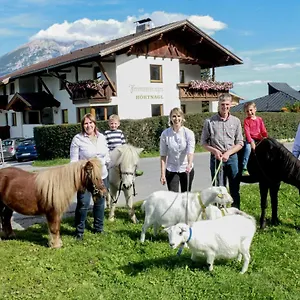 Bauernhof Studlerhof 